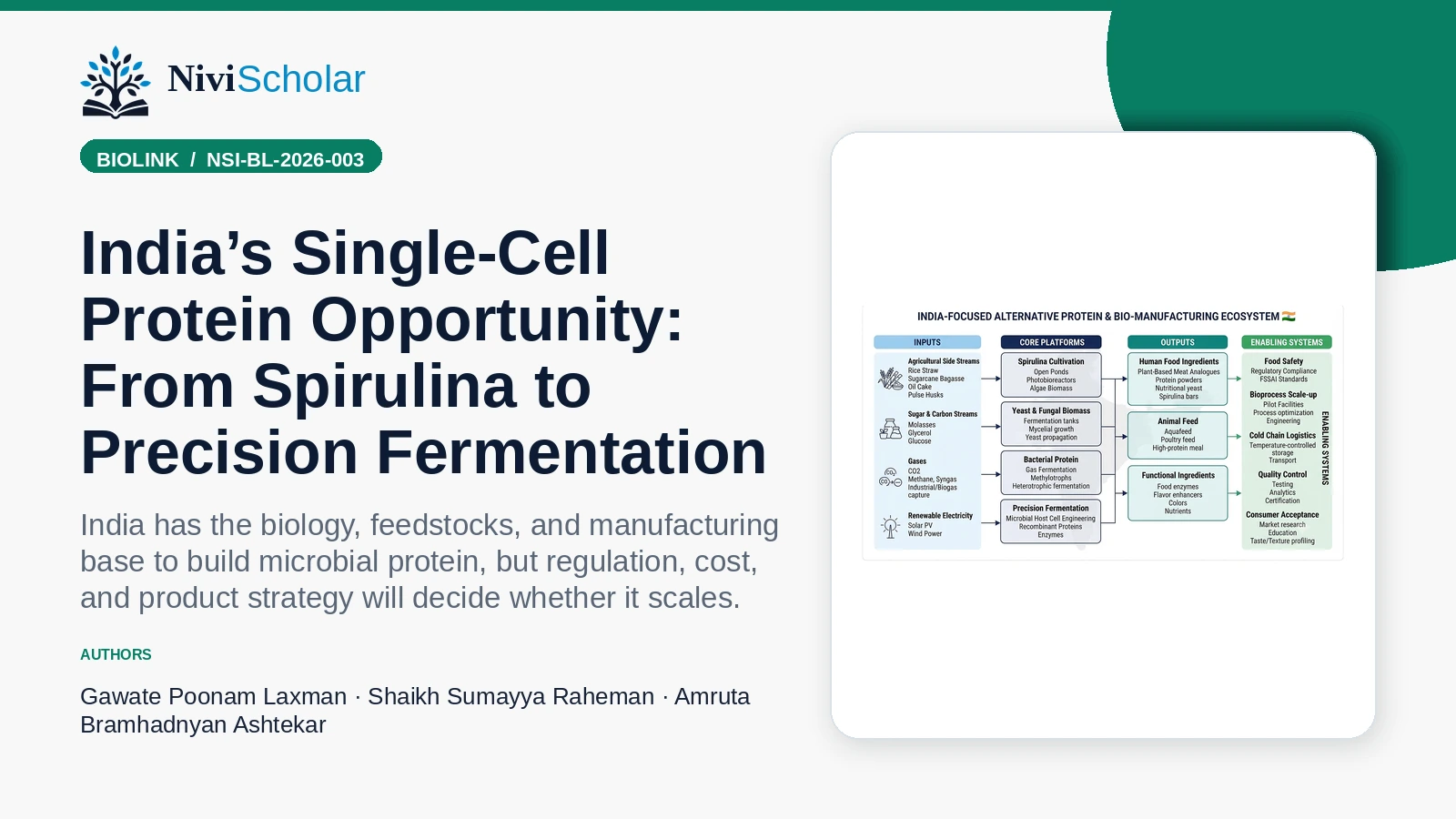 India’s Single-Cell Protein Opportunity: From Spirulina to Precision Fermentation