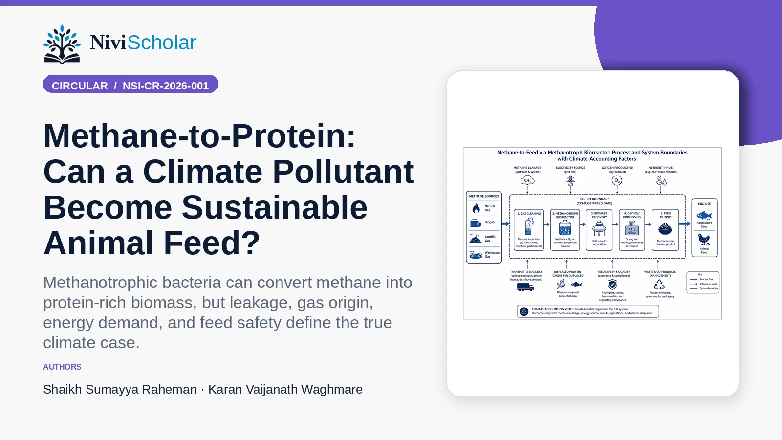 Methane-to-Protein: Can a Climate Pollutant Become Sustainable Animal Feed?