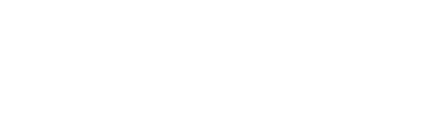 NiviScholar Insights Logo